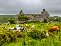 The Burren